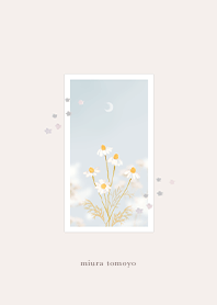 Madoromi no Chamomile