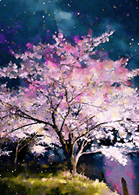 Beautiful night cherry blossoms#1870