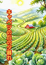 キャベツの丘の夕暮れ