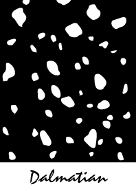 Dalmatian -White-