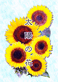 Sun flowers