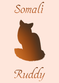 Somalicats ( Ruddy )