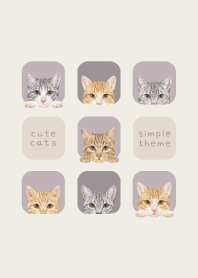 CATS - Mixed breed cat 03 - PURPLE GRAY