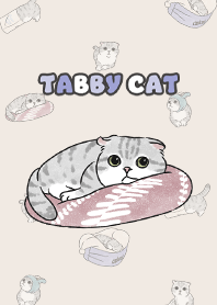 tabbycat9 - cream