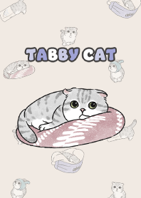 tabbycat9 / cream