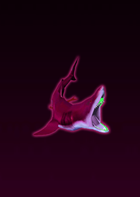Megalodon Red