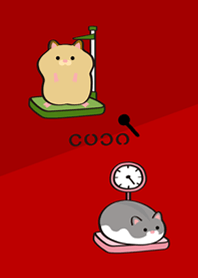 햄스터 건강검진!(빨간색)