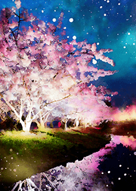 Beautiful night cherry blossoms#1610