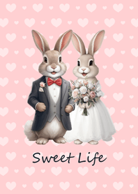 งานเลี้ยงแต่งงานกระต่าย(สีชมพู)