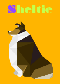 シェルティー（ダークセーブル）