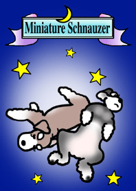 ミニチュアシュナウザーのあん＆みつ