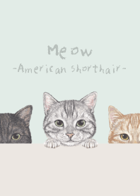 Meow - American Shorthair - PASTEL GREEN