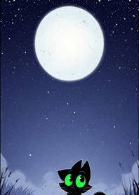 Black cat under the starry sky 672BAD