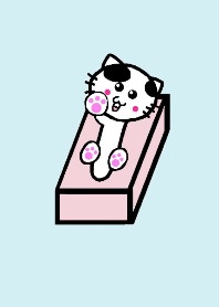 Tissue case cat.Light blue beige vr