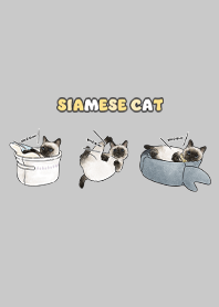 siamesecats5 - grey