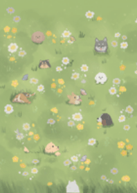Dogs and Flower fields (Revised Version)