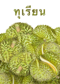 榴蓮　15