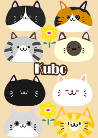 Kubo Scandinavian cute cat2