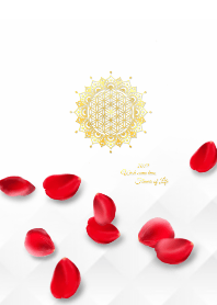 全運気アップ♥薔薇とフラワーオブライフ②