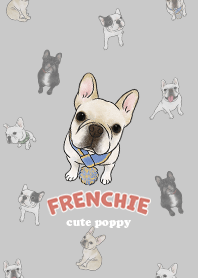 frenchie4 / grey