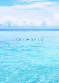 SEA WORLD - Hawaii 20