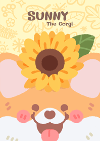 Sunny simple theme