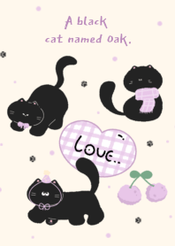 A black cat named Oak.2