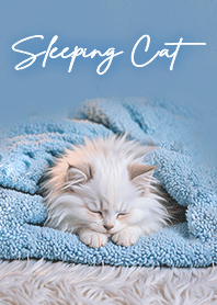 Cat sleeping peacefully - light blue