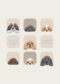 DOGS - Cocker Spaniel - BEIGE GRAY