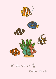 我養的海水魚(蜜桃粉)