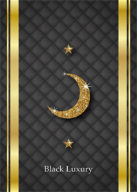 Black Luxury -ver.2-