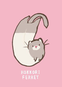 ほっこりフェレット2