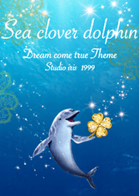 運気上昇 Sea clover dolphin
