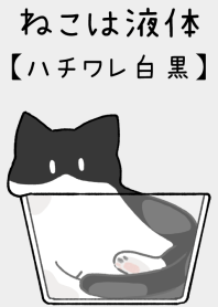 The cat is liquid [white x black]JP