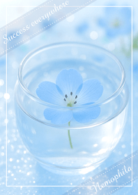 運気アップ＊一輪のネモフィラ＊