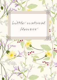 Little natural flowers 30