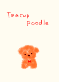 Teacup Poodle RED