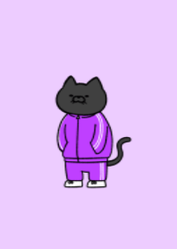 Jersey black cat 08.