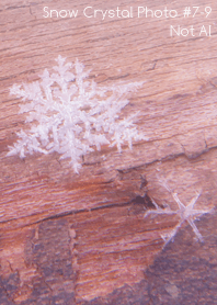 Snow Crystal Photo #7-9Not AI