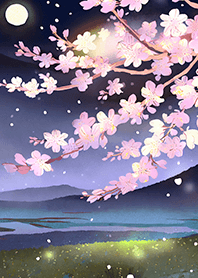 Beautiful night cherry blossoms#762