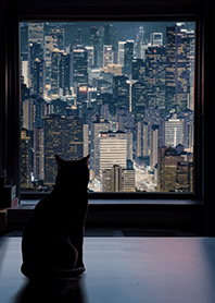 窓辺の景色を眺める猫 4