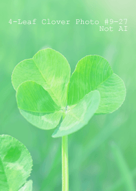 4leaf Clover Photo#9-27Not AI
