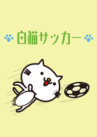 這是非常白貓和足球。