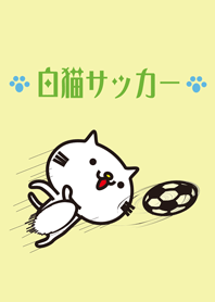 매우 흰 고양이와 축구입니다.