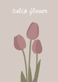 Tulip flower_pink
