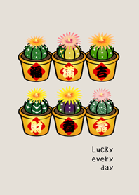 행운의 화분 식물(회색 갈색)