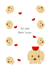 Watermelon and golden retriever.