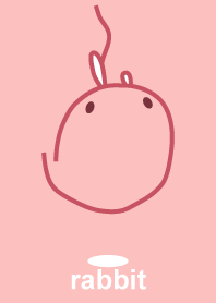 rabbit (Staring)