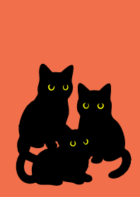 Black Cat Holiday7 on red & yellow