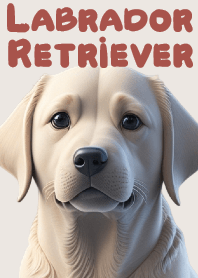 Loyal best friend Labrador Retriever